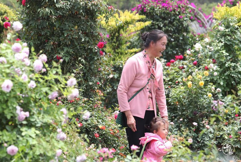 云南省文化和旅游厅