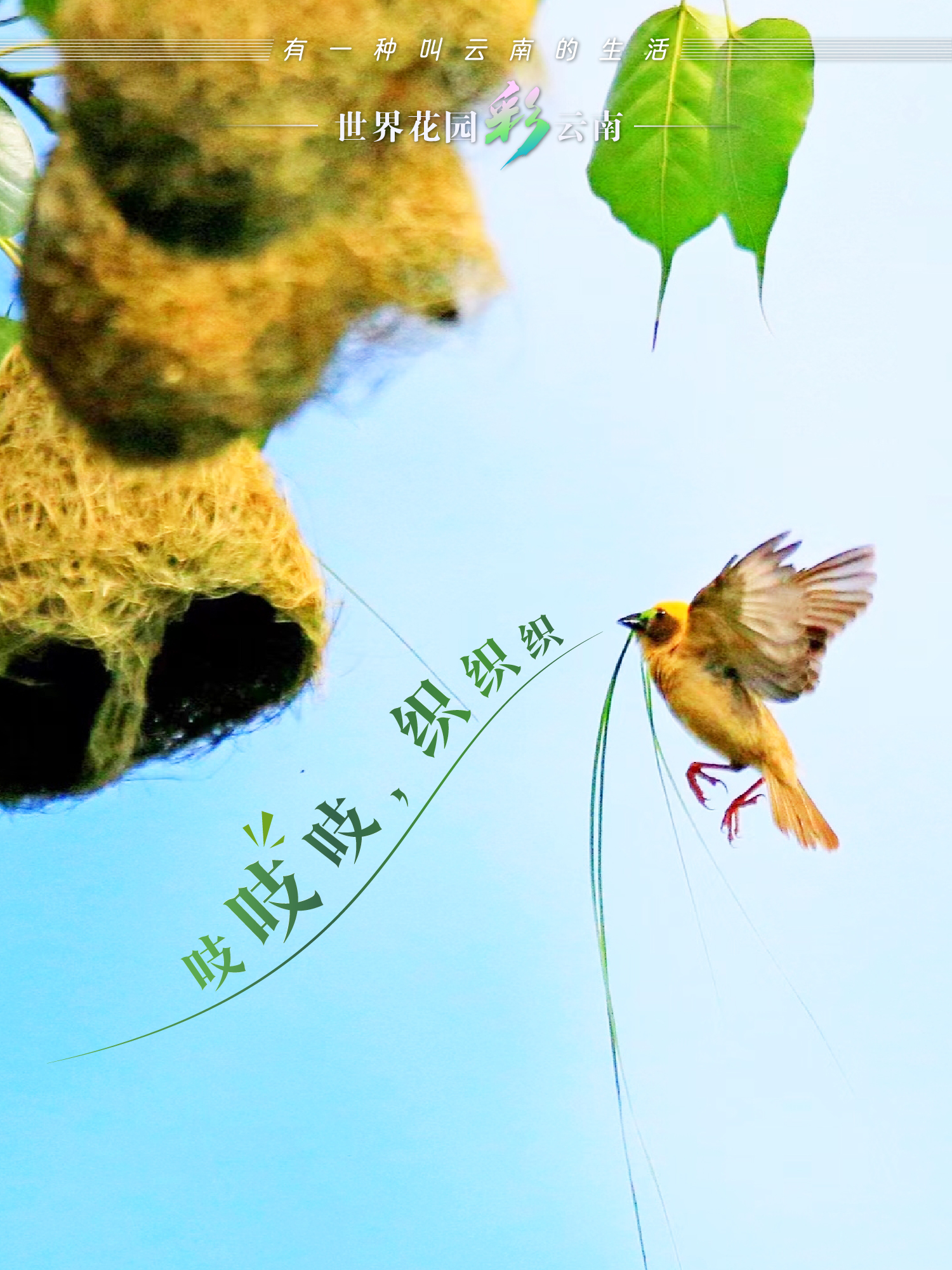 云南省文化和旅游厅