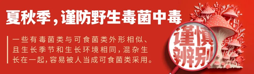 德宏团结报