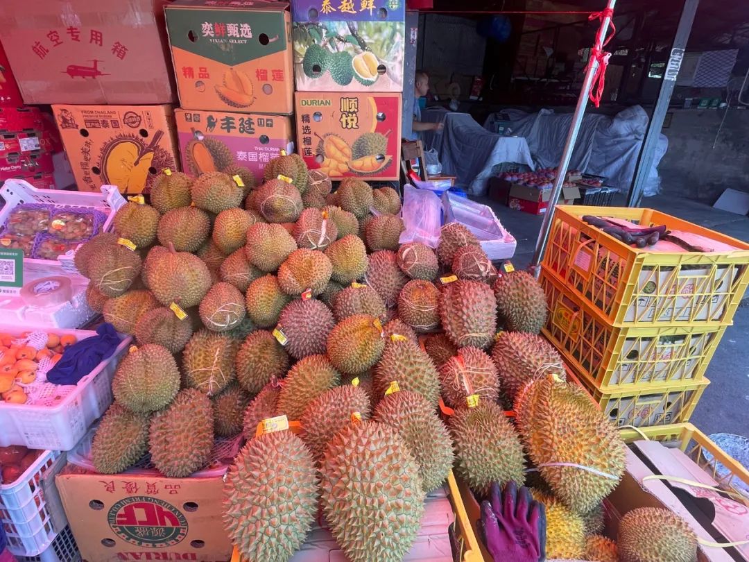 昆明信息港/cnkmxxg