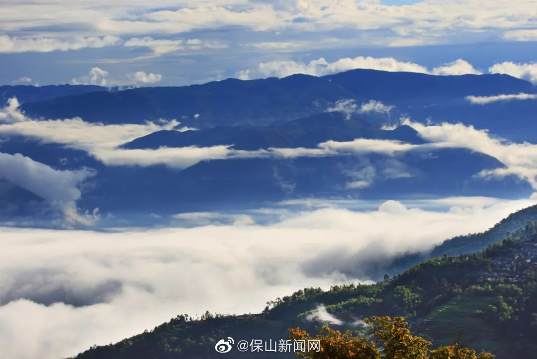 保山新闻网