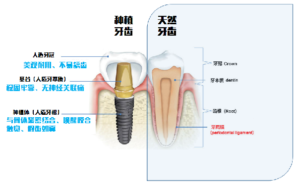 昆明医科大学附属口腔医院