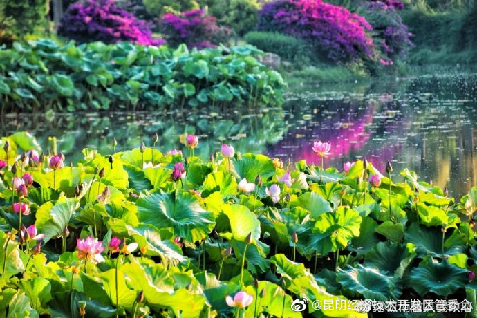 昆明经济技术开发区管委会