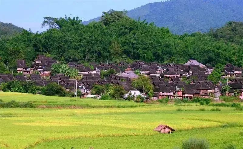 云南省文化和旅游厅