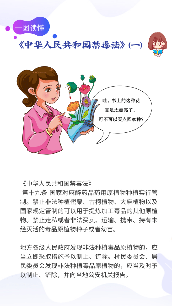 云南依法治省