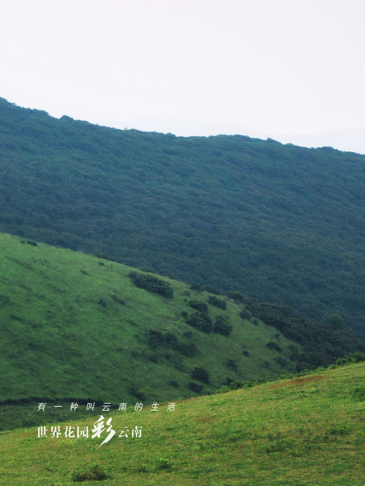 云南省文化和旅游厅