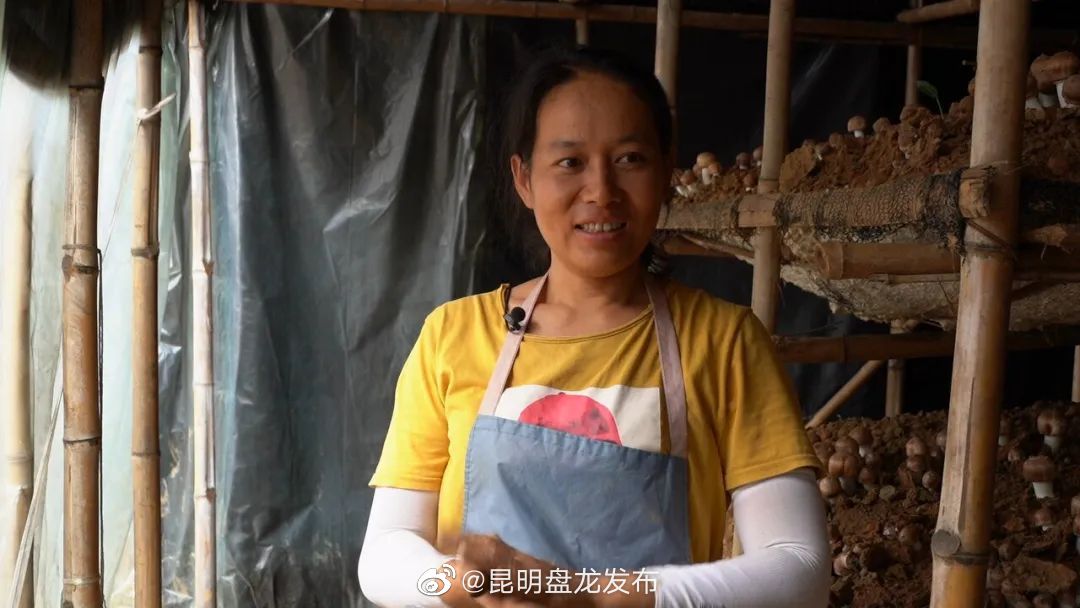 昆明盘龙发布