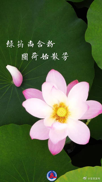 呈贡发布