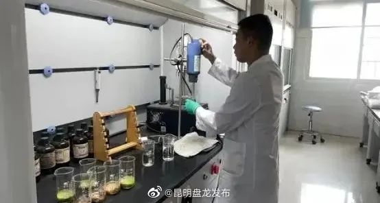 昆明盘龙发布