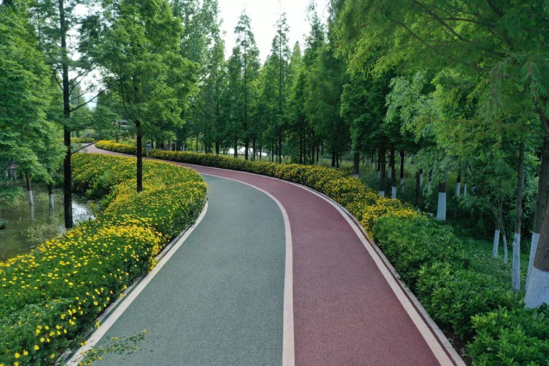 云南省文化和旅游厅