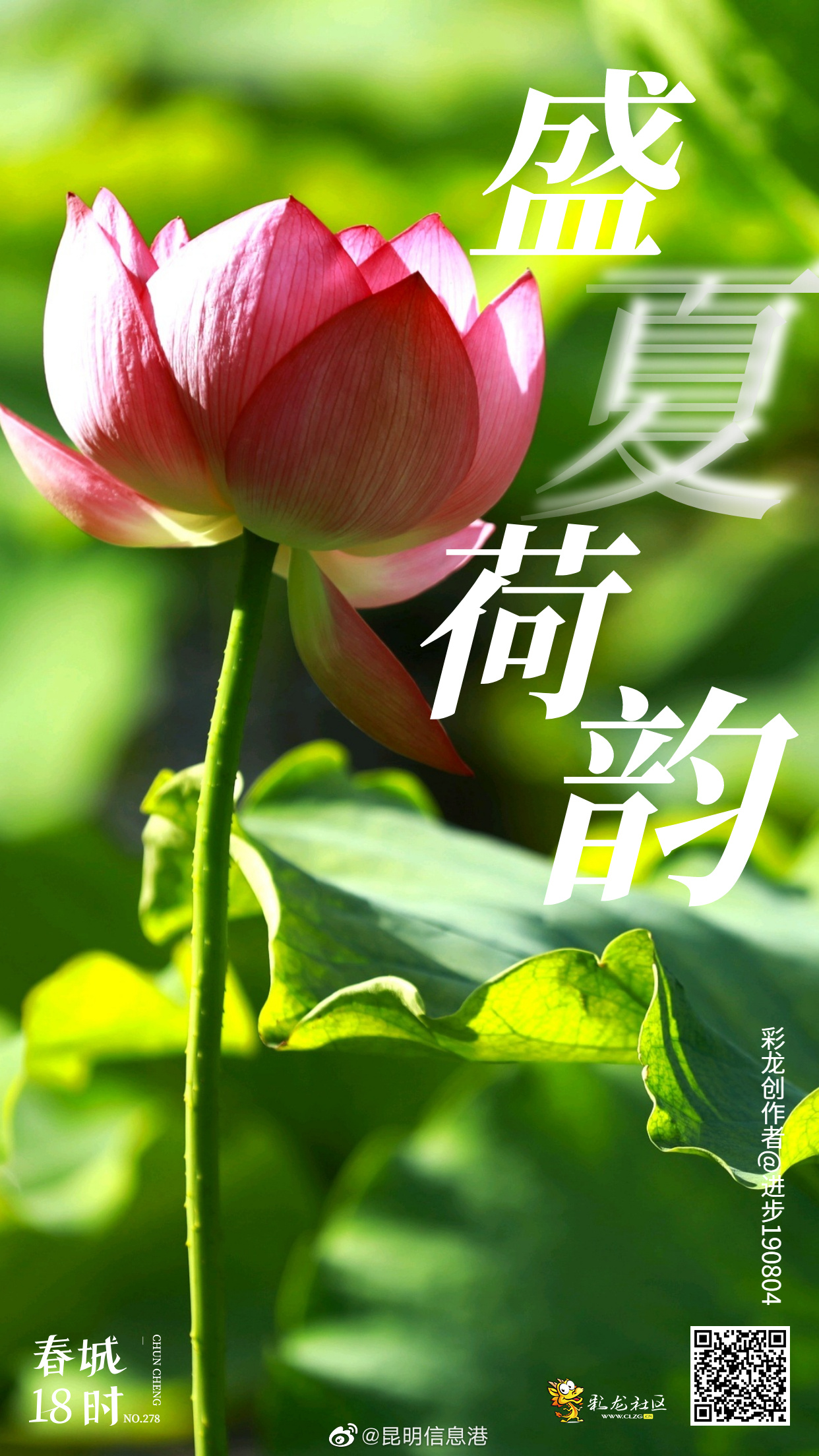 昆明信息港微博