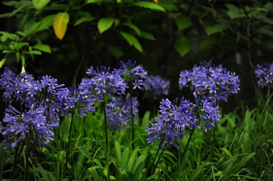 昆明市金殿名胜区