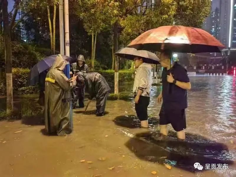 呈贡发布