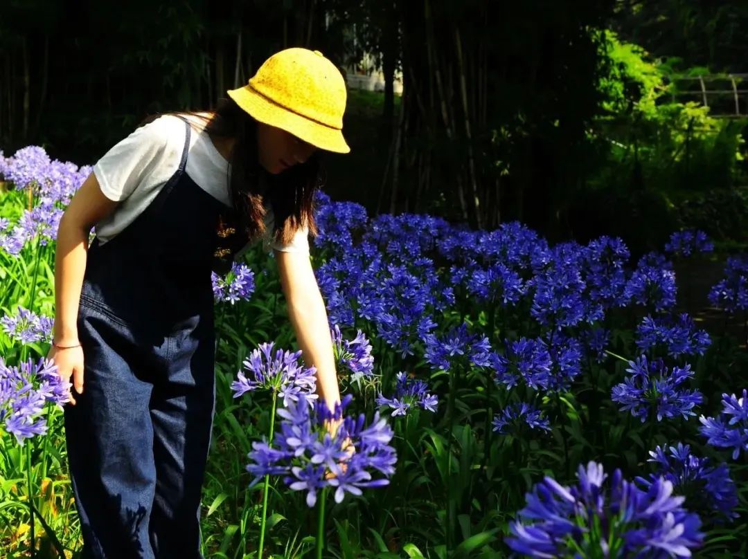 昆明市金殿名胜区