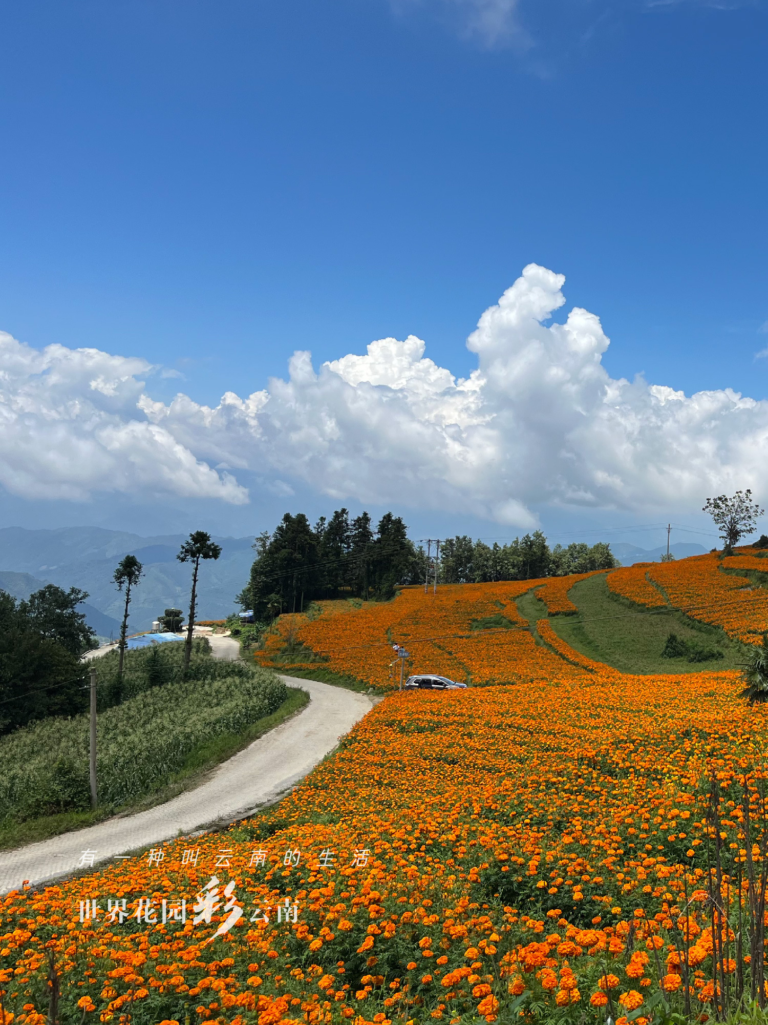 云南省文化和旅游厅