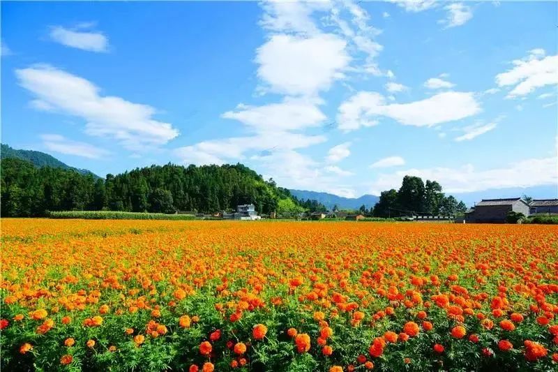 云南省文化和旅游厅