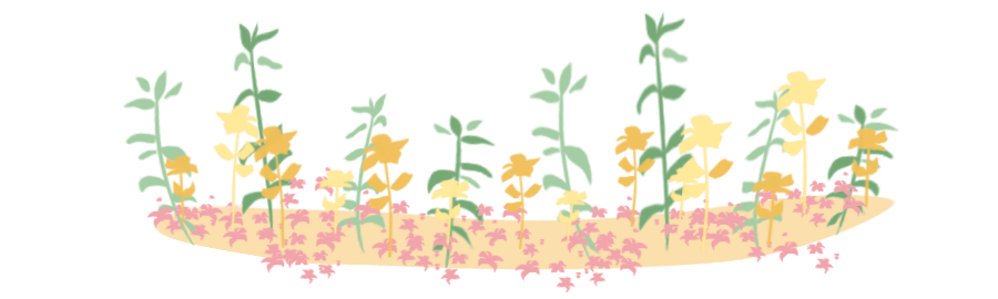 西双版纳望天树景区