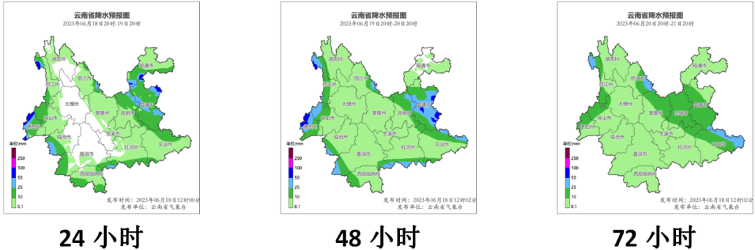 云南信息报