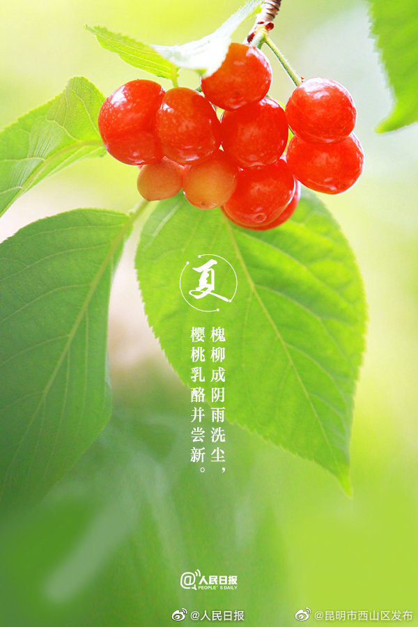 昆明市西山区发布