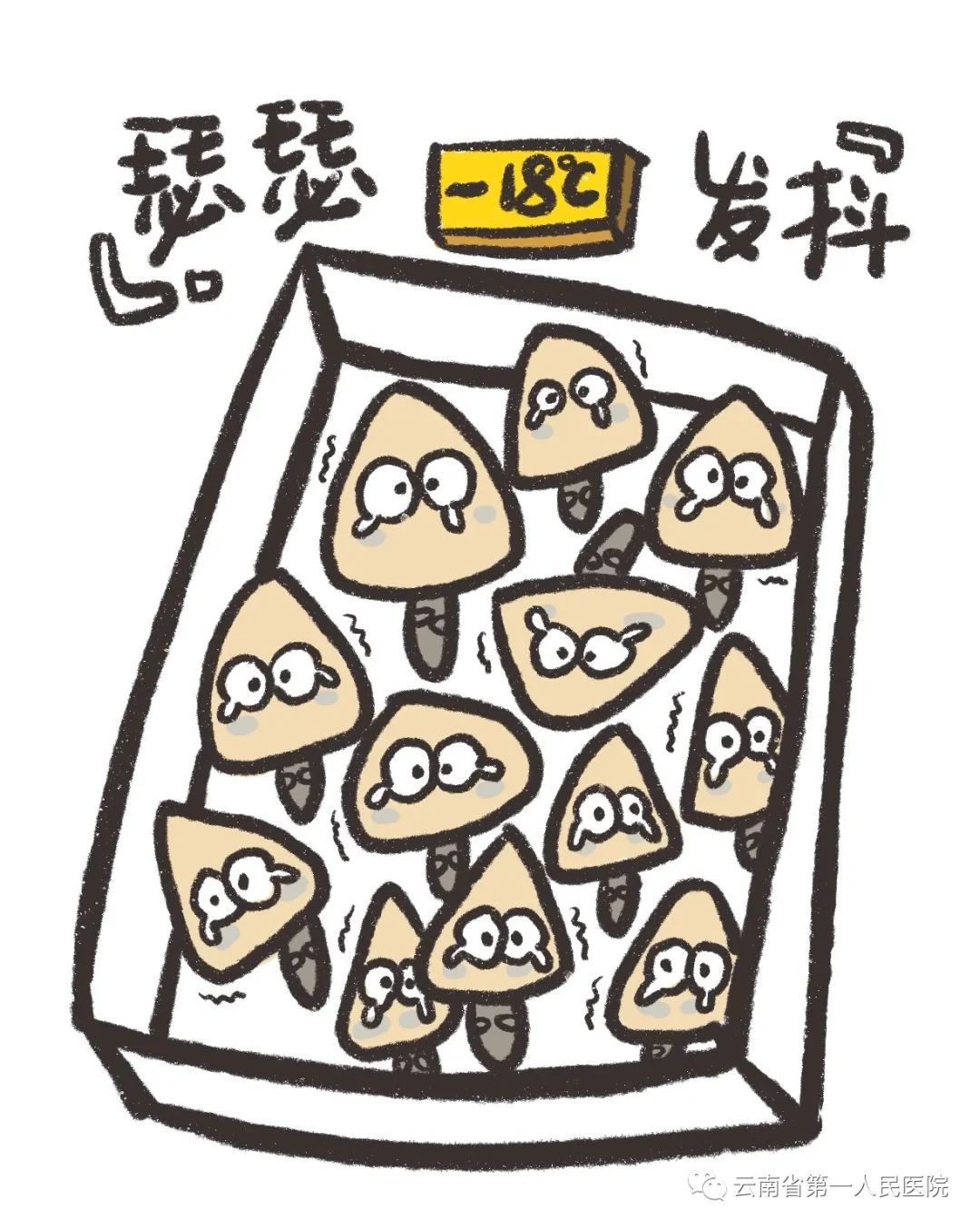 云南省第一人民医院