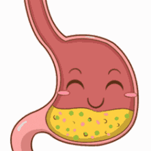 经常反酸的人做好8件事