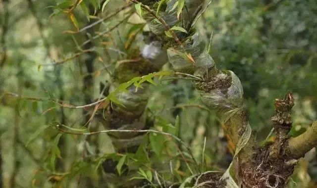 保山新闻网