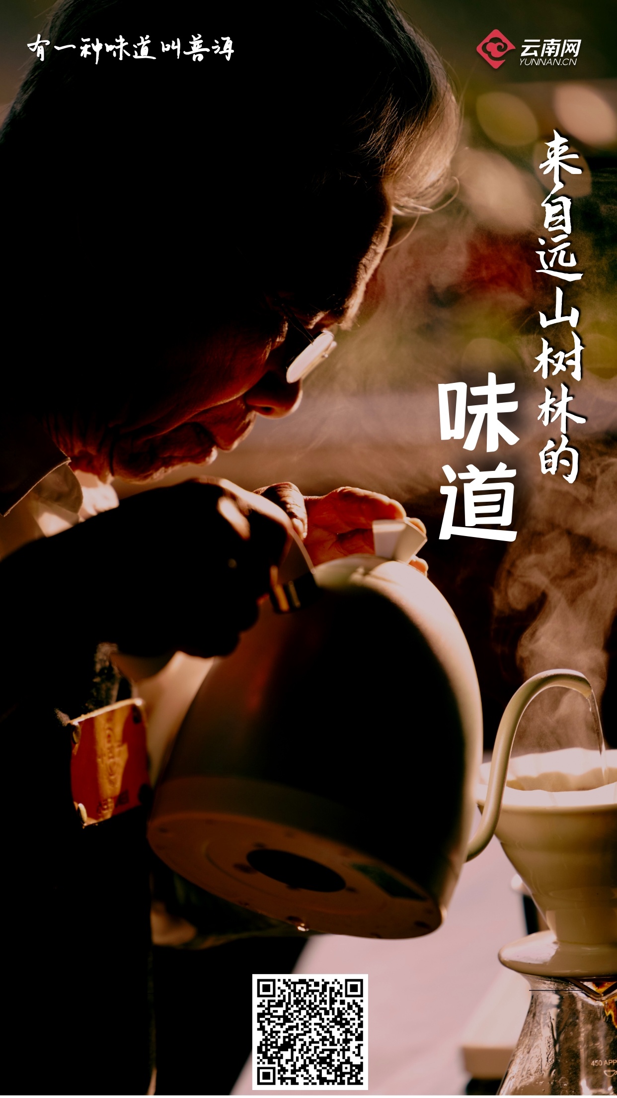 有一种味道叫普洱:来自远山树林的味道
