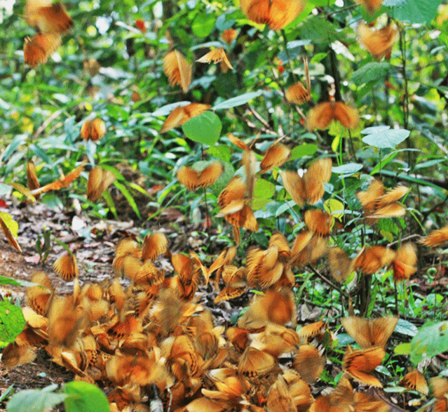 云南省文化和旅游厅
