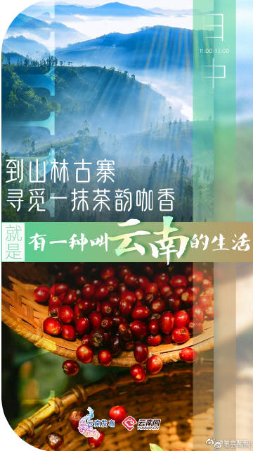 呈贡发布