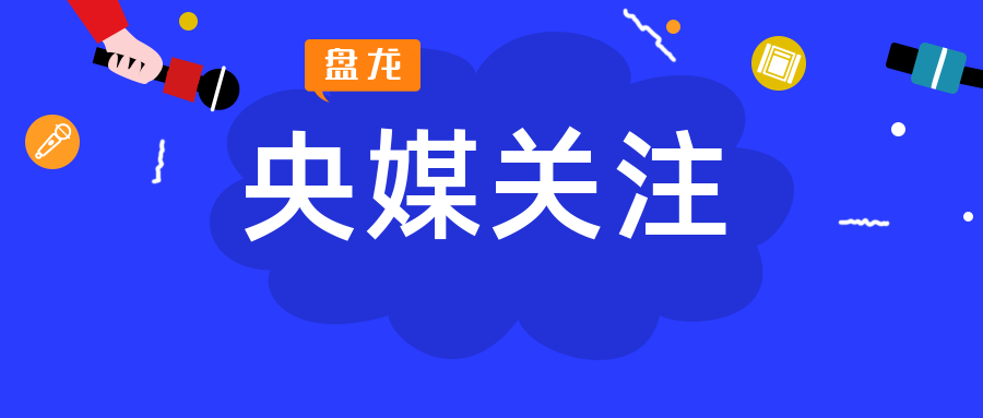 微观盘龙