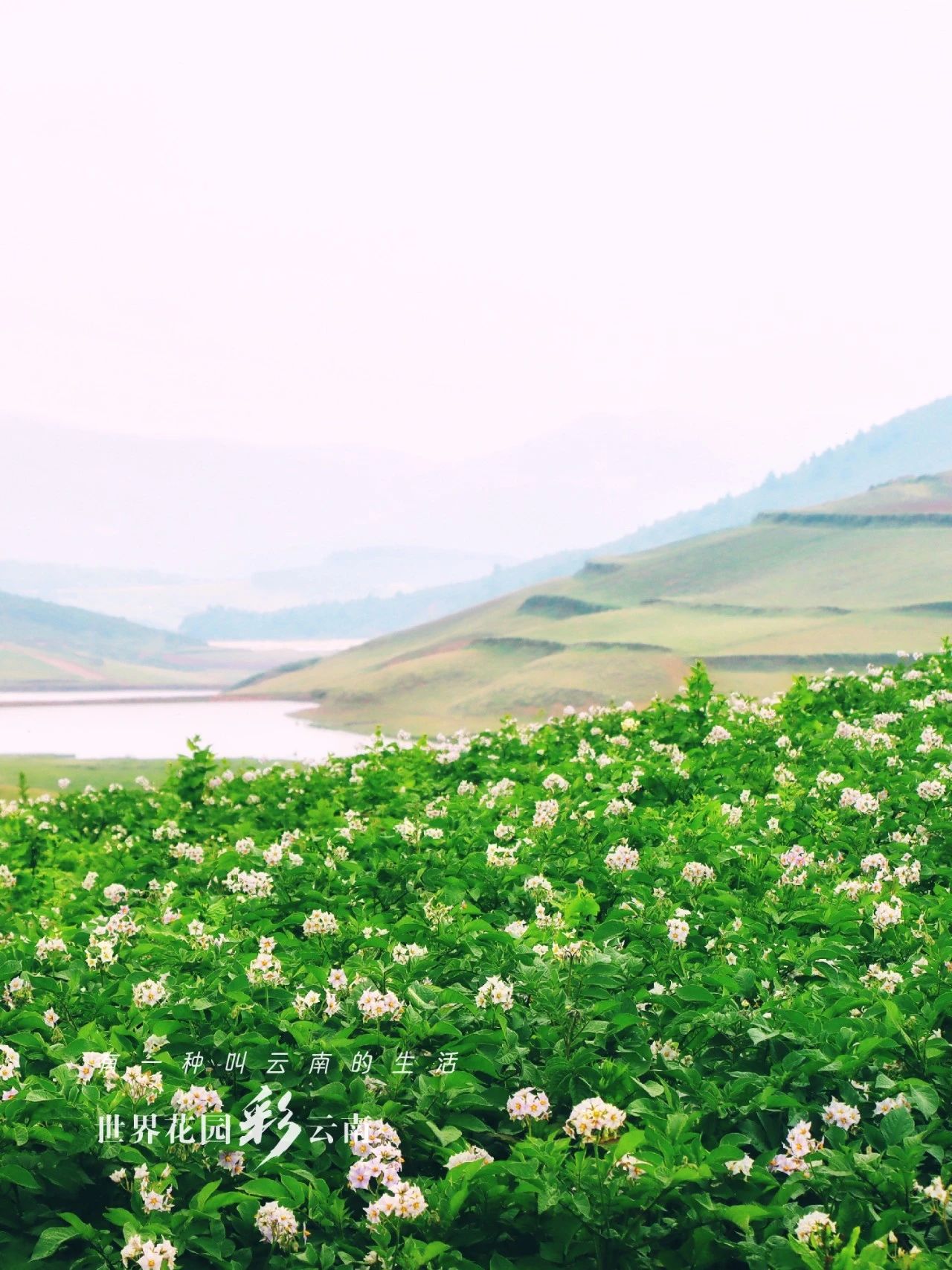 云南省文化和旅游厅