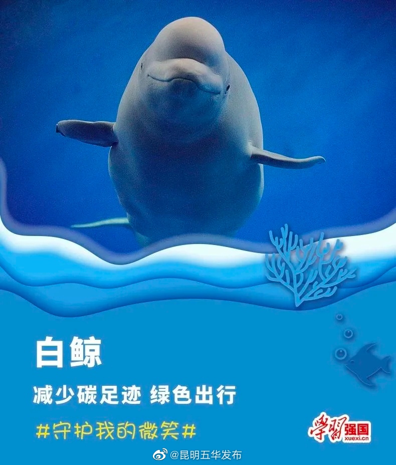 昆明五华发布