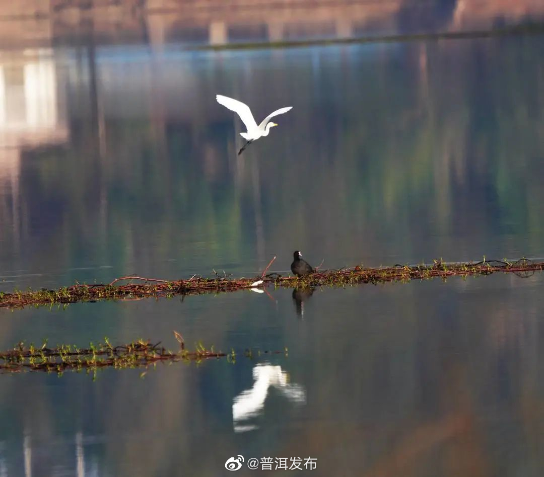 普洱发布