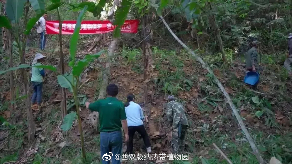 西双版纳热带植物园