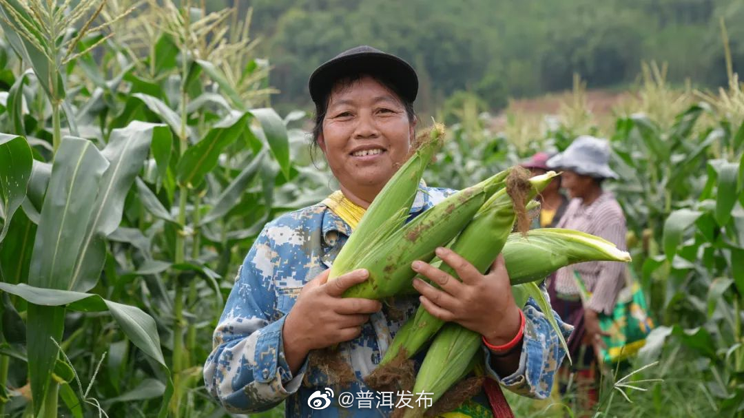 普洱发布