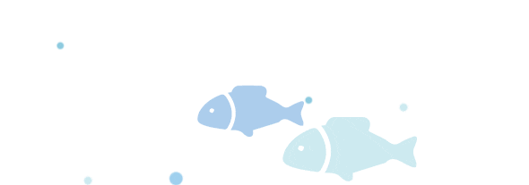 丽江日报