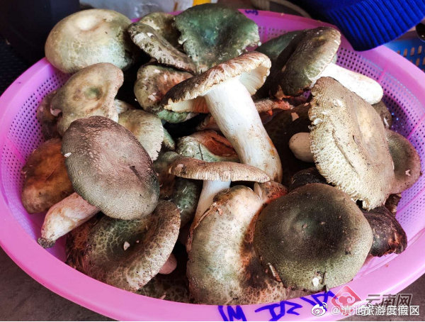 滇池旅游度假区