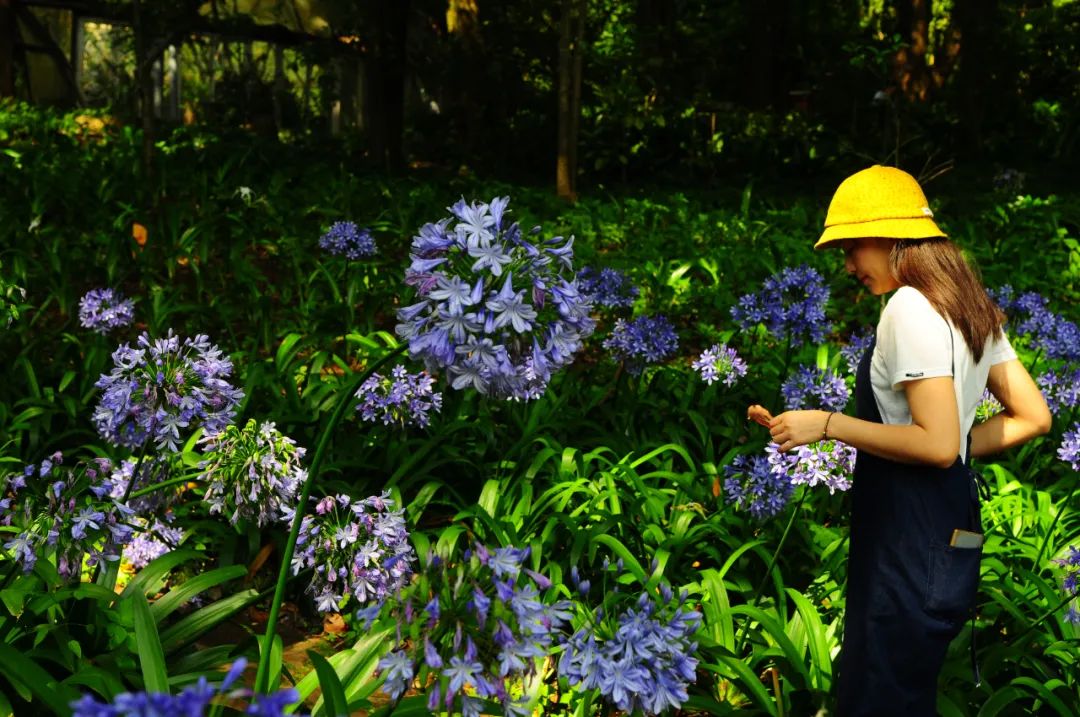 昆明市金殿名胜区