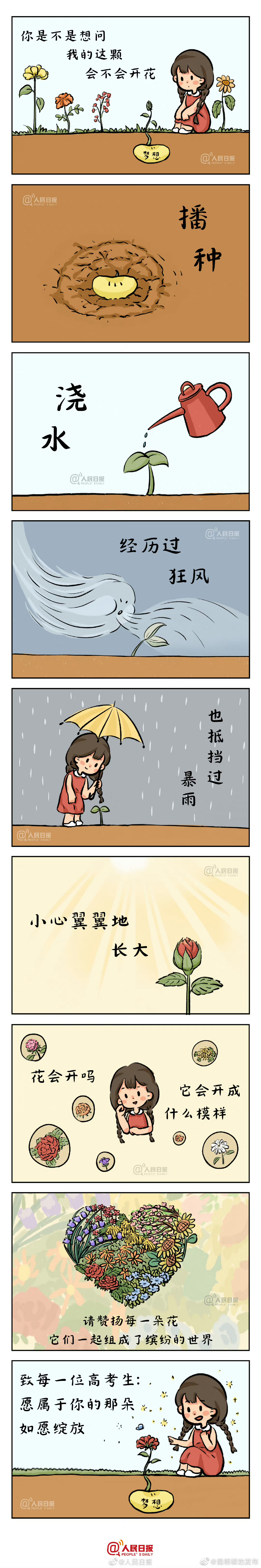 给1291万高考生的暖心手绘：愿属于你的那朵花如愿绽放