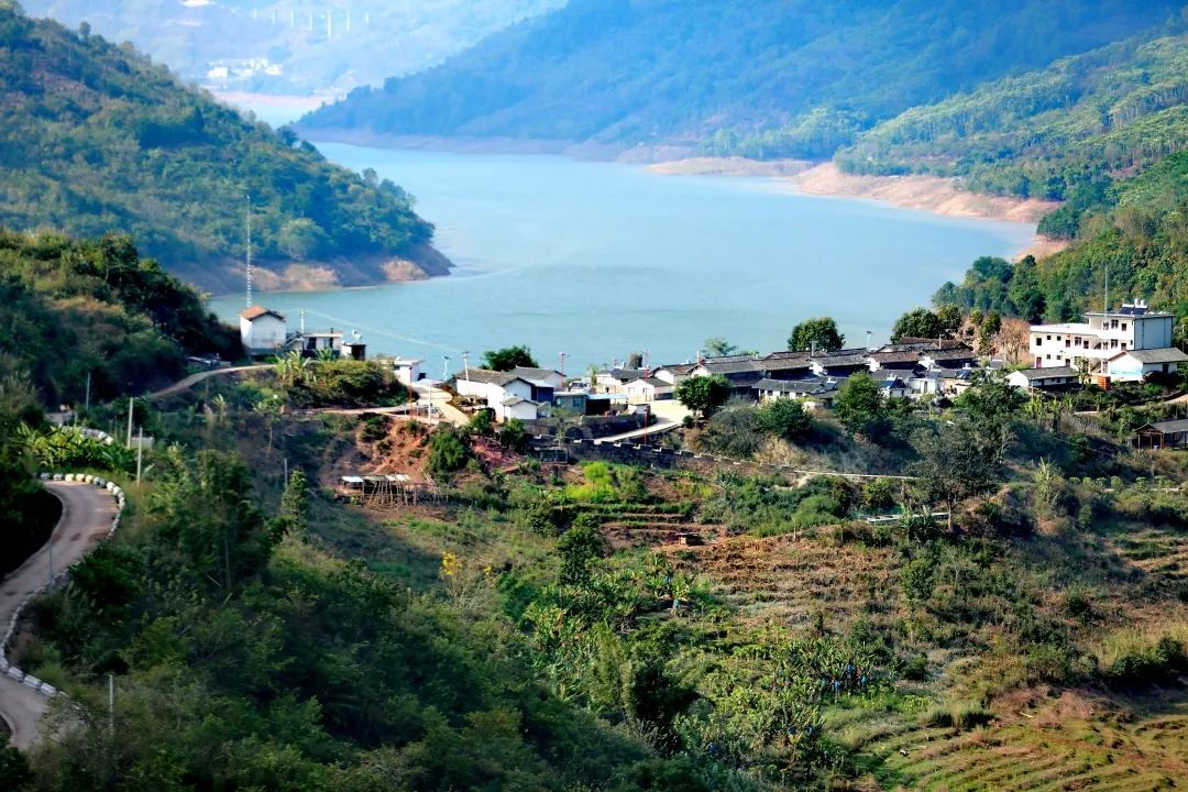 云南省文化和旅游厅