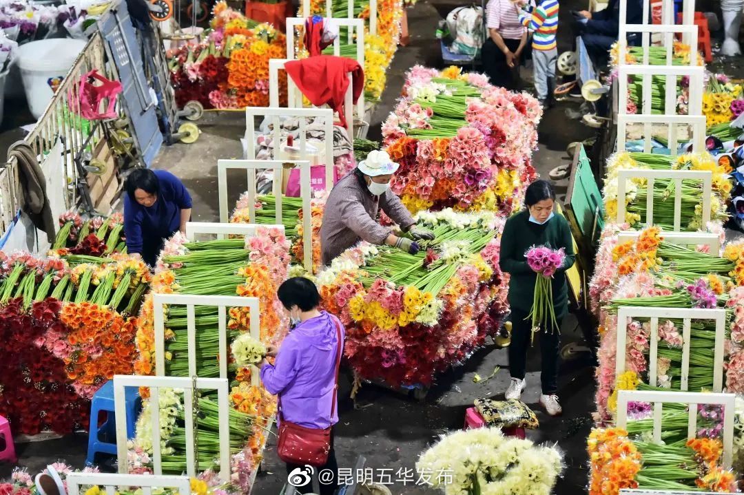 昆明五华发布