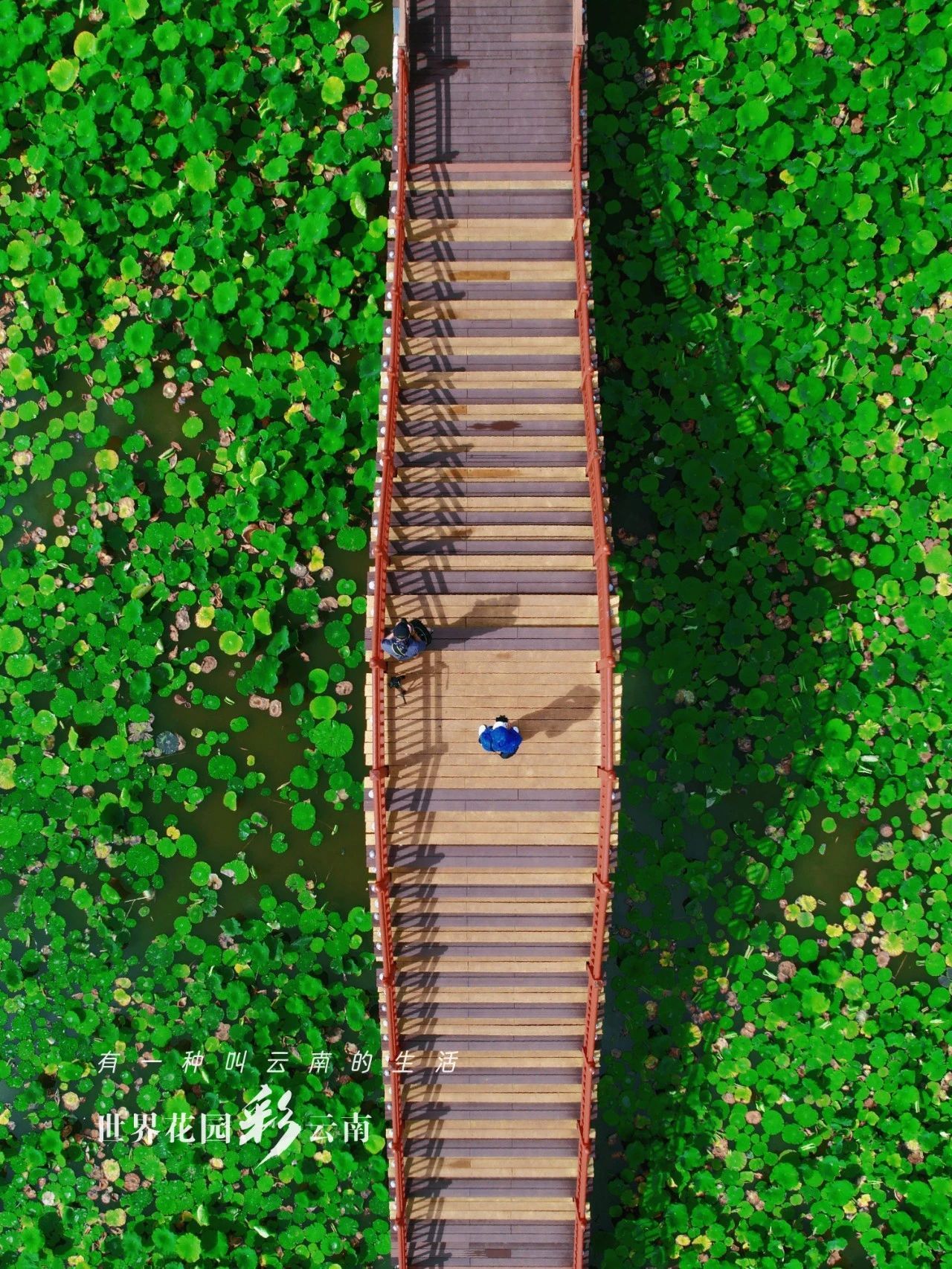 云南省文化和旅游厅