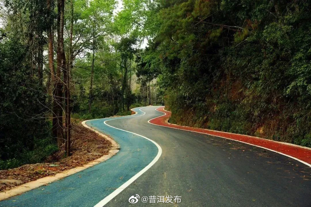 普洱发布
