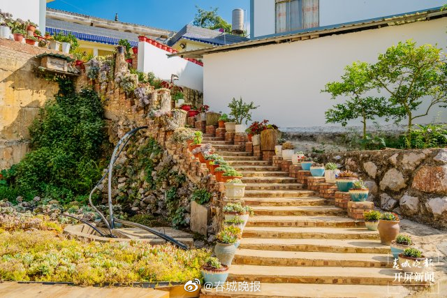 团结兴边看文山｜多肉扮靓“方寸之地”，庭院“小美”助力乡村“大美”