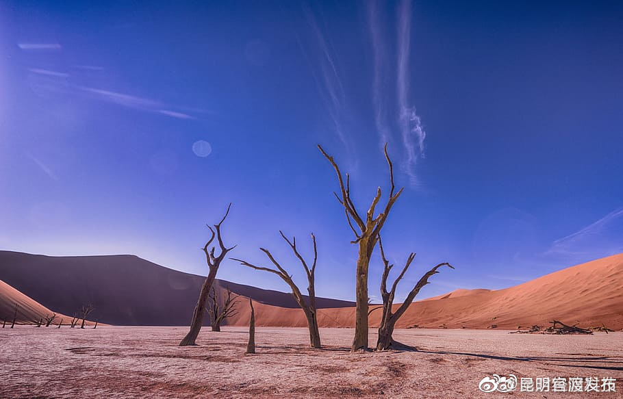 2023年或为有记录以来最热一年