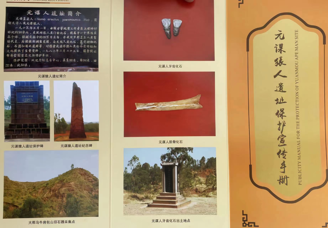云南省文化和旅游厅