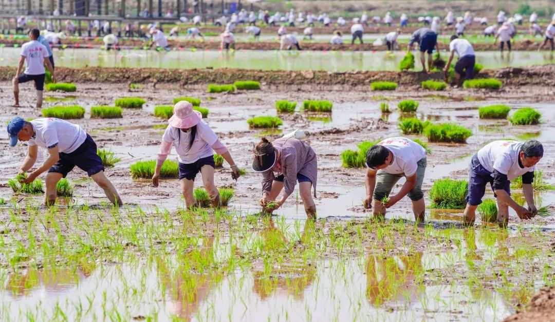 晋宁诗意的栖居地