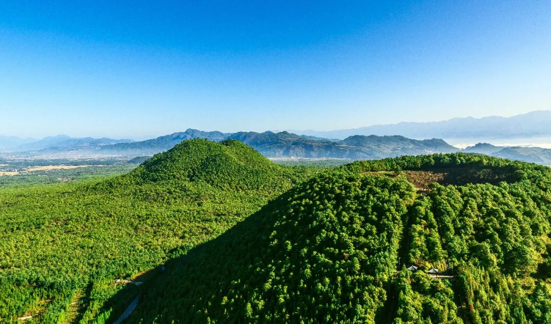 云南省文化和旅游厅