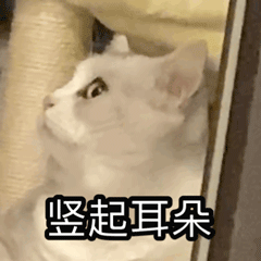 昆明出入境