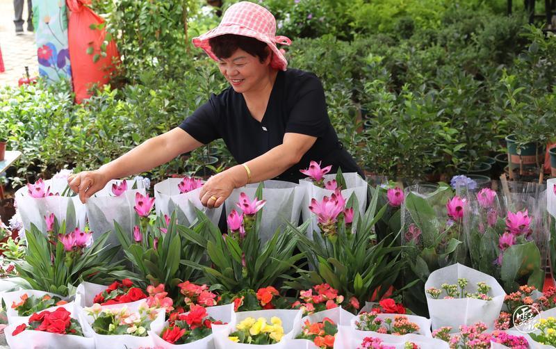 云南省文化和旅游厅